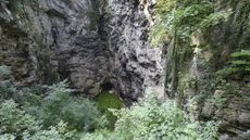 View of the Hranice Abyss from the edge of the cave at the surface. We see a pool of green water at the bottom and greenery around the edge.