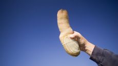 A man's hand holding up a pacific geoduck against a blue sky