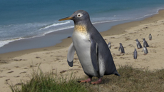 An artist reconstruction of Pakudyptes, which is one of the smallest penguins on record.